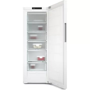 Congélateur armoire							MIELE				FN 4342 E ws