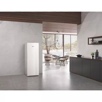 Congélateur armoire							MIELE				FN 4342 E ws