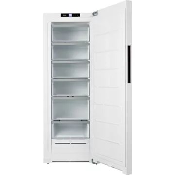 Congélateur armoire							MIELE				FN 4342 E ws