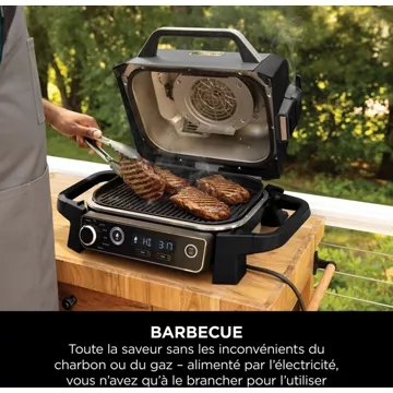 Barbecue électrique							NINJA				Woodfire OG701EU