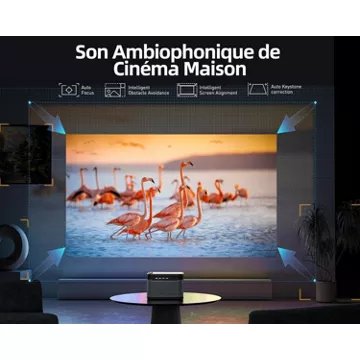 Vidéoprojecteur home cinéma							DANGBEI				Mars Pro 4K Laser