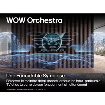 Barre de son							LG				S95TR Atmos WOW Orchestra