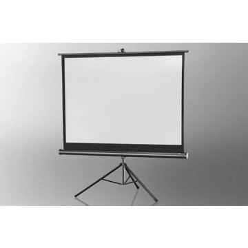 Ecran de projection							CELEXON				Economy 244 x 183 cm