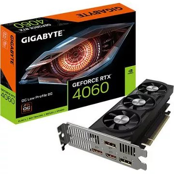 Carte graphique							GIGABYTE				GeForce RTX 4060 OC Low Profile